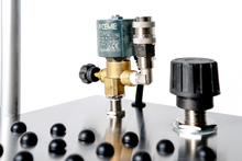 Carica l'immagine nel visualizzatore di Gallery, Mya Sanysteam - Ferro da stiro verticale professionale